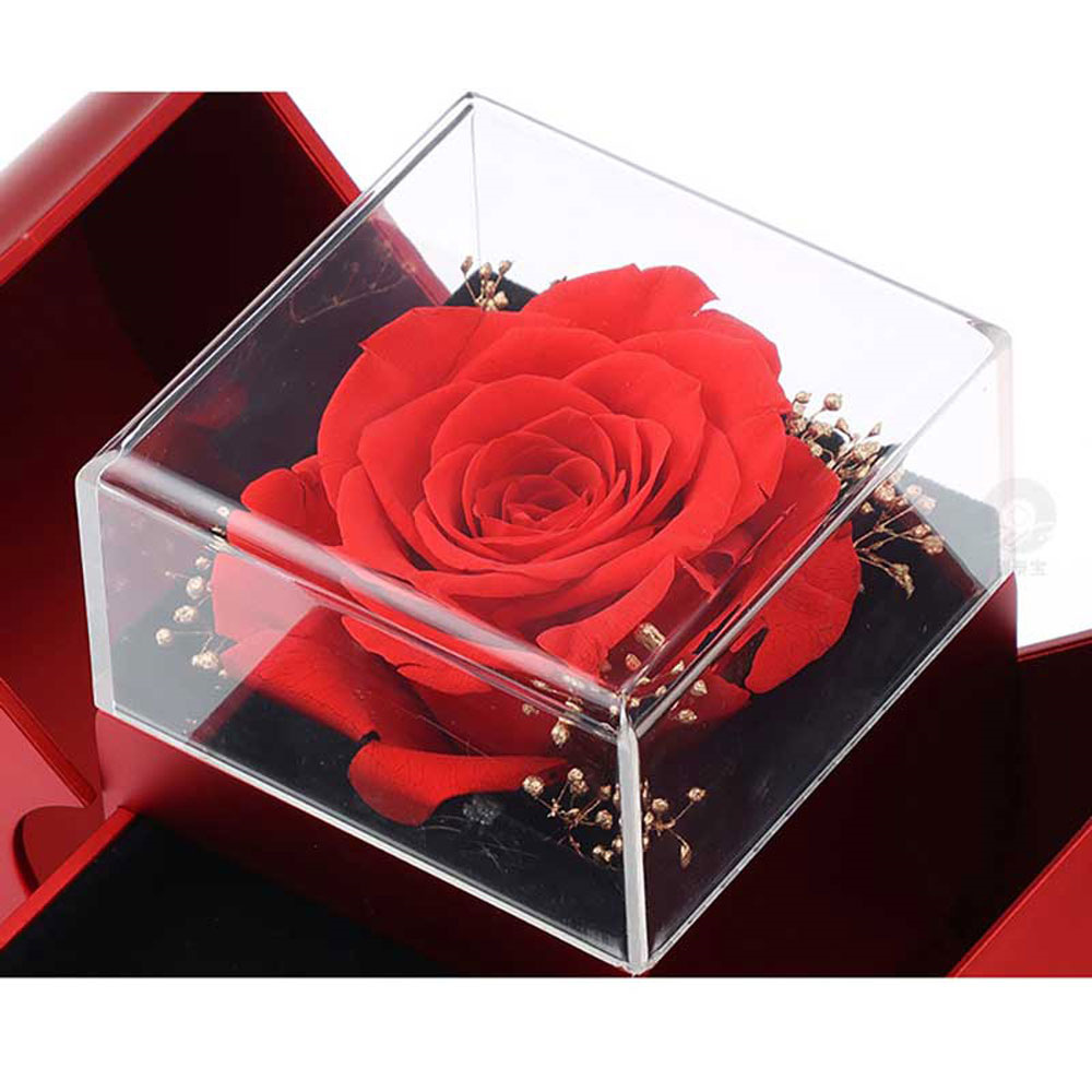 Eternal Rose Necklace Gift Box