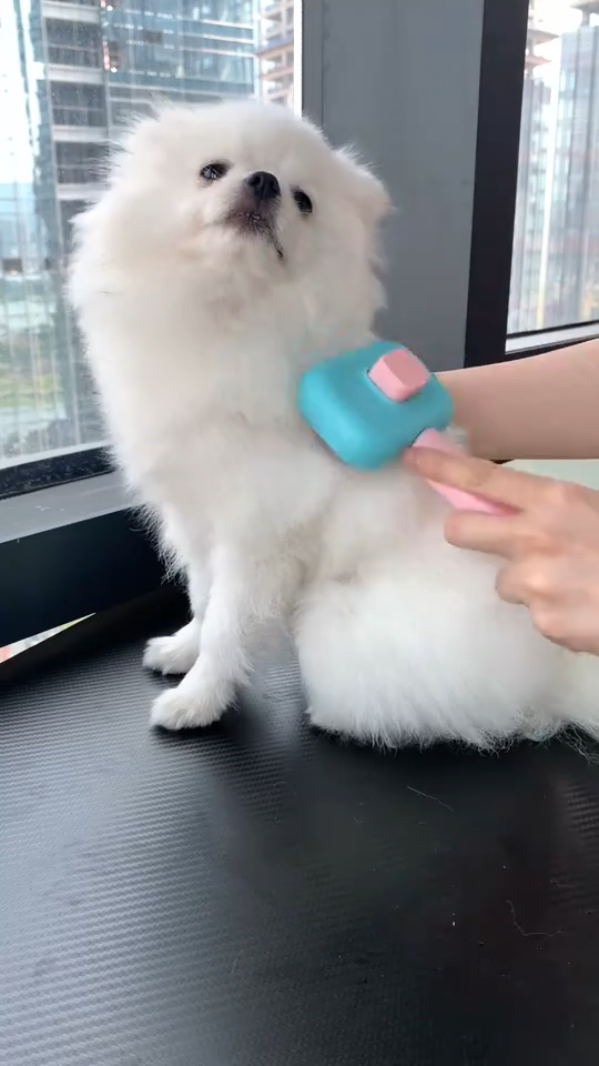 Pet Deshedding Comb & Dematting Grooming Brush