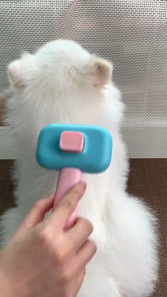 Pet Deshedding Comb & Dematting Grooming Brush