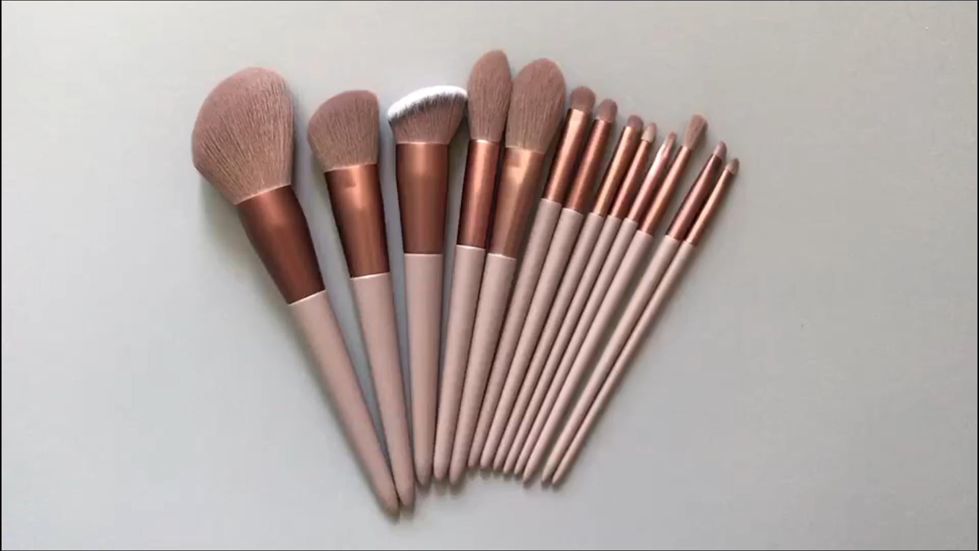 13-Piece Makeup Brush Set